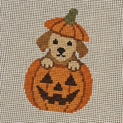 Cute dog pumpkin halloween - pumpkin,