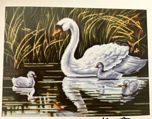 Printed needlepoint canvas